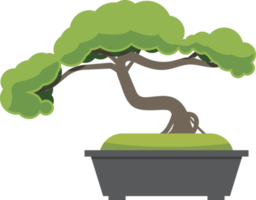 Japan famous bonsai tree png