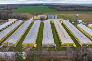 aerial view of rows of agro farms with silos and agro-industrial livestock complex photo