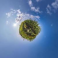 little planet transformation of spherical panorama 360 degrees. Spherical abstract aerial view on sunflowers field with awesome beautiful clouds and big flower in centre. Curvature of space. photo