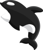 springende orca-grafische illustration png