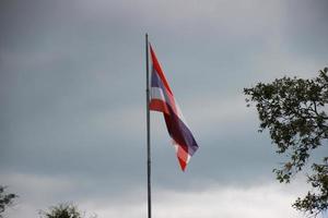 thailand flag with green tree and blue sky background photo