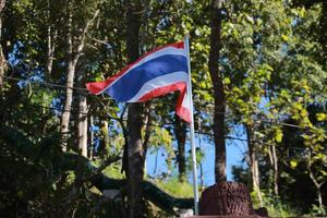 thailand flag with green tree and blue sky background photo