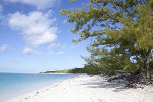 Half Moon Cay Island Empty Beach With Trees photo