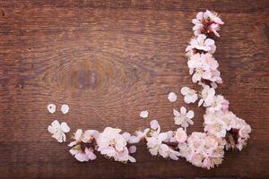 marco con ramas floridas en tablero de madera foto