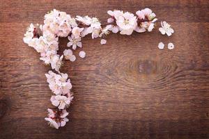 frame with flowering branches on wooden board photo