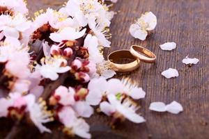 anillos de boda. primavera. rama florida sobre superficie de madera.