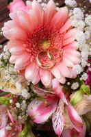 Flowers rose on wooden surface. photo