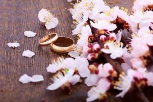 Wedding rings. Spring. Flowering branch on wooden surface. photo