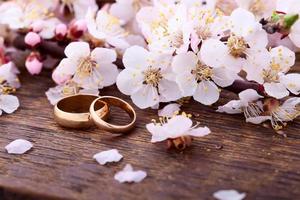 Wedding rings. Spring. Flowering branch on wooden surface. photo