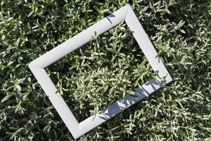 An empty white frame on a background of green leaves with a place to copy. Minimal concept photo