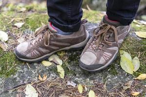 legs in women's trekking sneakers on a mossy forest stone with autumn yellow leaves, travel concept, hiking photo