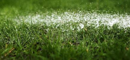 Watering the lawn with water in summer. gardening concept. drops of water from the ameliorative irrigation system are fed to grow ing garden plants against a sunny day photo