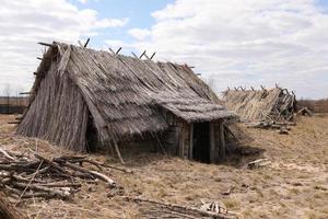 remnants of Ancient houses made from hollow logs with wooden and thatched roofs on the meadow photo