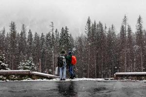 Couple of tourists with backpacks standing in the winter snowy forest and looking on the trees. photo