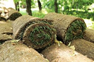 primer plano de alfombras de hierba al aire libre con un patrón verde y marrón. el césped de hierba verde y el suelo se enrollan en rollos, el césped en una pila está listo para reverdecer. foto