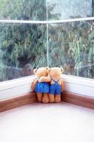 The friendship and relationship of two teddy bears are embracing each other, looking at the view of the bamboo on the window. photo
