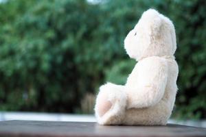 Teddy bears look sad, disappointed and lonely. photo