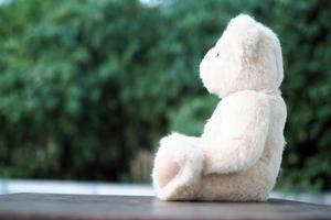 Teddy bears look sad, disappointed and lonely. photo