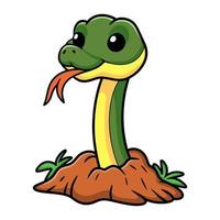 Cute easten racer snake cartoon out from hole vector