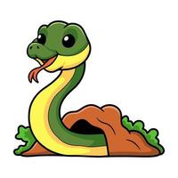 Cute easten racer snake cartoon out from hole vector