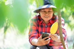 un agricultor asiático parece satisfecho con los granos de cacao de su plantación, una madre agricultora usa un teléfono móvil recogiendo frutos frescos de cacao en el campo foto