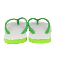 sandals  flip flops color green isolated on white background photo