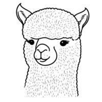 cabeza de animal camélido llamado alpaca vector