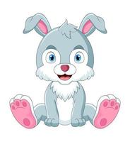 Vector cartoon funny rabbit sitting on white background