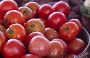 fresh red tomatoes in basket photo