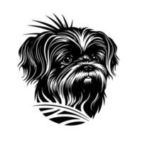 Ornamental Shih Tzu dog portrait. Decorative illustration for logo, emblem, sign, embroidery, nameplate, sublimation. vector