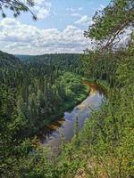 hermoso paisaje de verano con bosque verde y río. vista desde una altura. foto