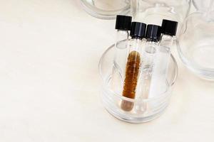 test tubes with various solutions near bottles photo