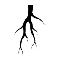 logotipo de vector de raíz