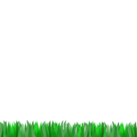 Green grass field on  transparent background png
