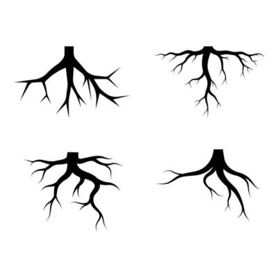 Root vector logo