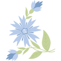 Branch blue cornflowers png