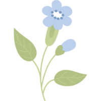 campo blu fiore png