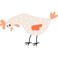 pájaro doméstico. lindo gallo png