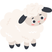 schattig schapen. dier png