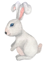 lapin gris aquarelle, année du lapin, lapin de pâques aux yeux bleus png