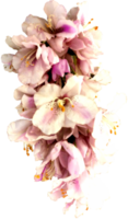 vicino su bellissimo orchidea fiore tagliare su png