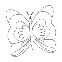 butterfly Colorful Butterfly isolated, Beautiful Butterfly illustration. Vector illustration