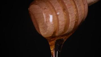 Miel qui coule d'une cuillère à miel en bois sur fond noir video