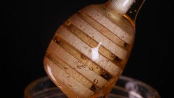 Flowing honey from a wooden honey spoon on a black background video