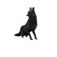 lobo preto 3d isolado png