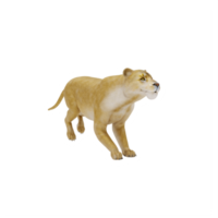 Lionne 3d isolée png