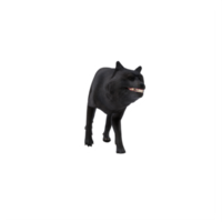 lobo preto 3d isolado png