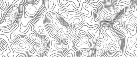 Abstract Blank Detailed Topographic Contour Map Subtle White Vector Background. Geographic topographic map grid. Line map with elevation. Topographic Cartography. Topographic Map. Topographic Relief.