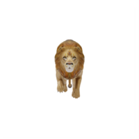 3D-Löwe isoliert png