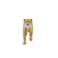 3D-Löwin isoliert png